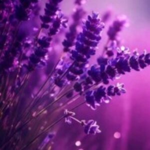 Profilová fotka používateľa Gizem Maler