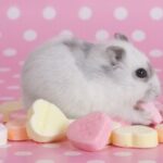 Profilová fotka používateľa Tamara Kalugina